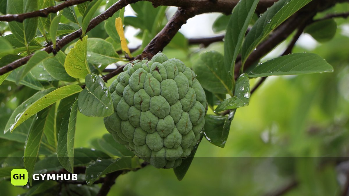 Citrulline Malate: What It Actually Does, the Dose, and Whether It's Worth It