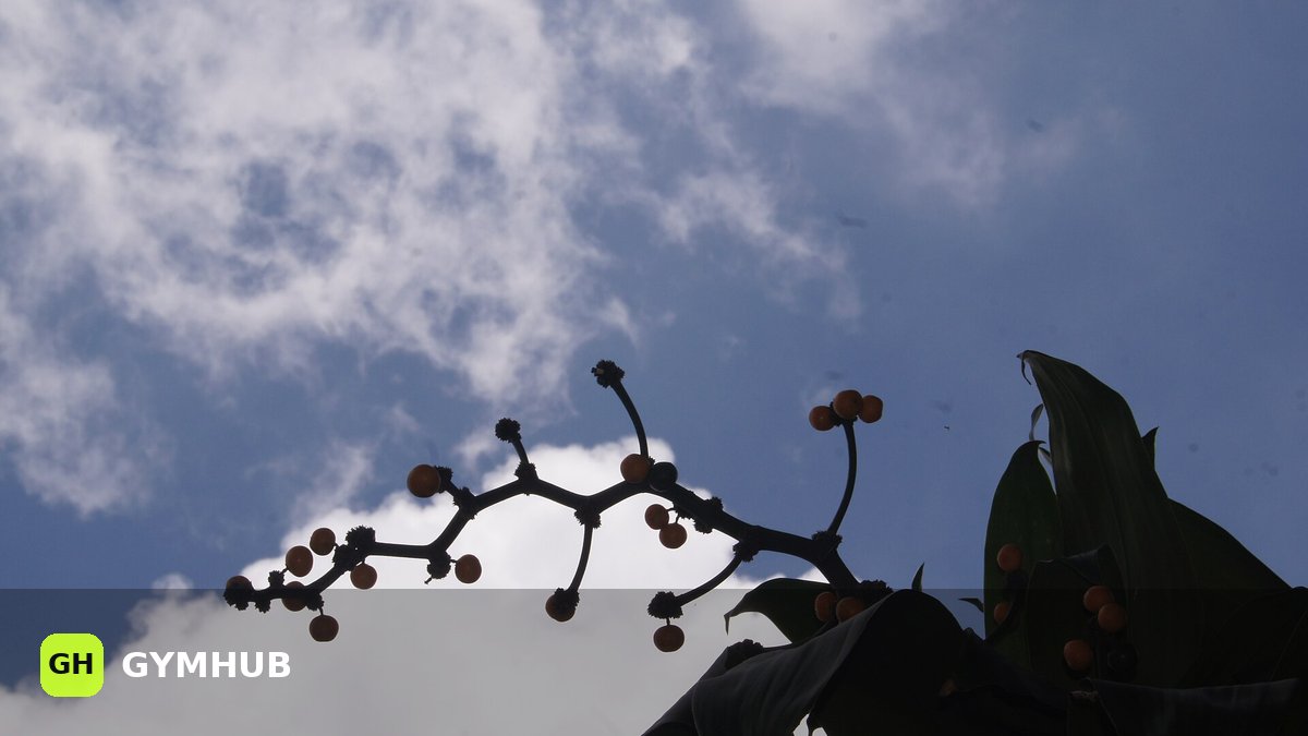 Vitamin D: What It Actually Does, How Much to Take, and Whether It Is Worth It