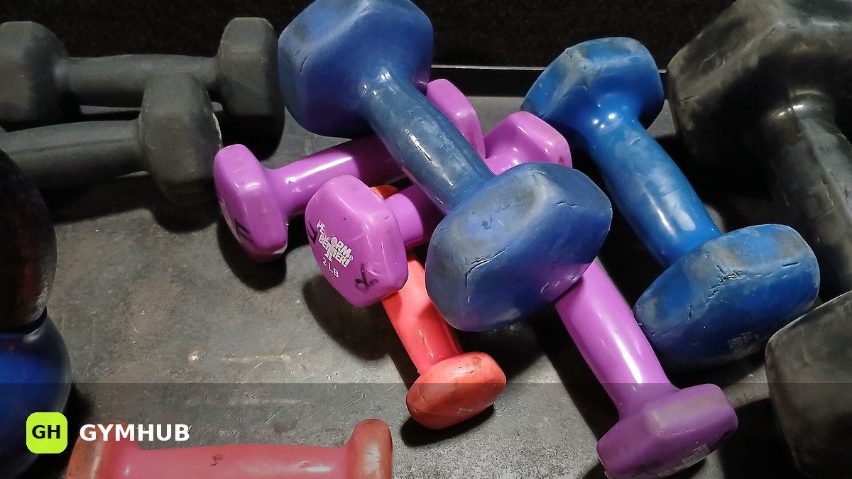 Push-pull-legs or upper-lower: which split for whom