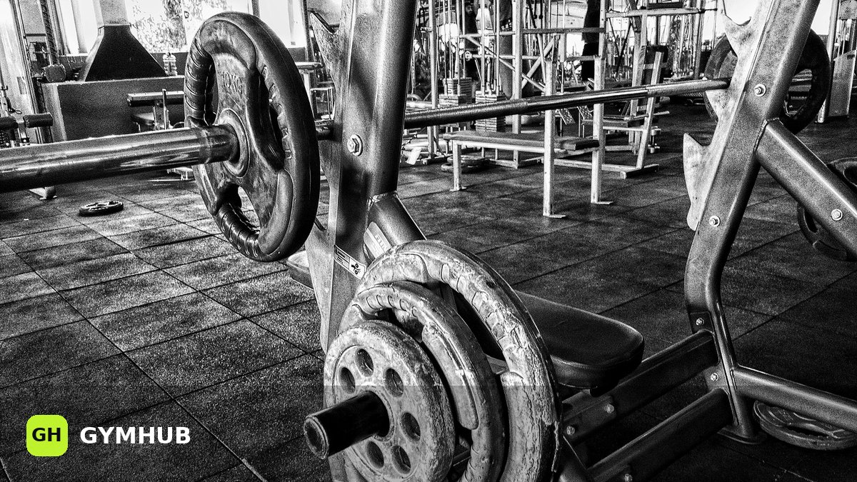 Bench Step-Ups: Proper Technique, Common Mistakes, and Who They Suit