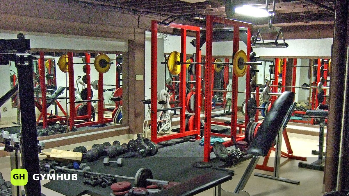 Front Raises: Proper Technique, Common Mistakes, and Who Actually Needs Them